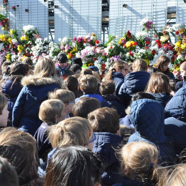 2019-11-08 - Ofrenda floral solidaria en honor a la Virgen de la Almudena