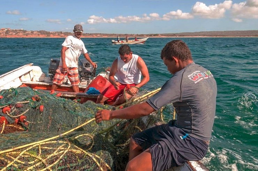 El Vaticano presentará en los Emiratos Árabes el mensaje del Día mundial de la pesca