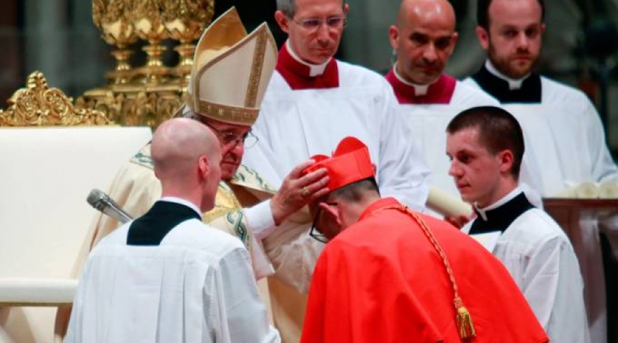 El Papa crea 5 nuevos cardenales para la Iglesia: Sigan a Jesús con decisión