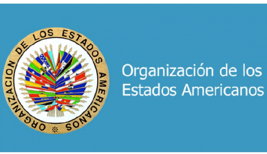La Santa Sede y el Papa precisan su posición sobre Venezuela ante la OEA