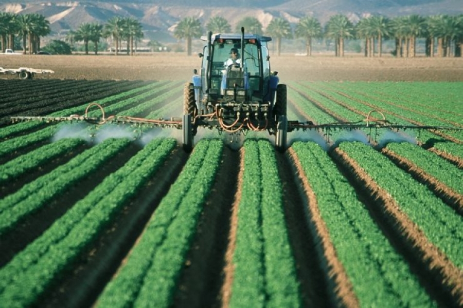El Santo Padre alienta una producción agrícola que llegue a todos