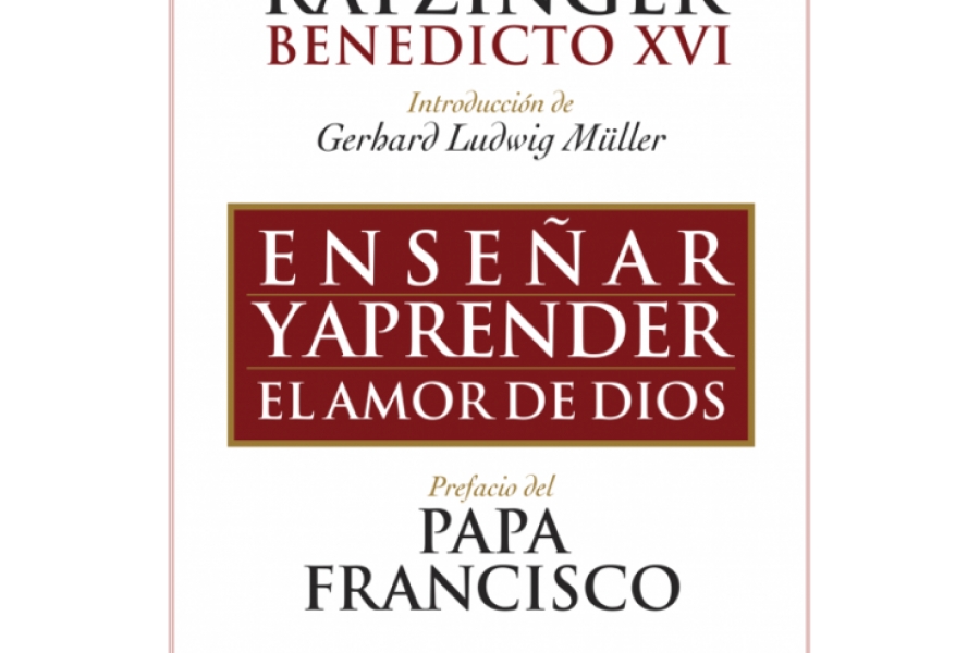 Francisco asegura que Benedicto XVI &#039;personifica la santidad&#039;