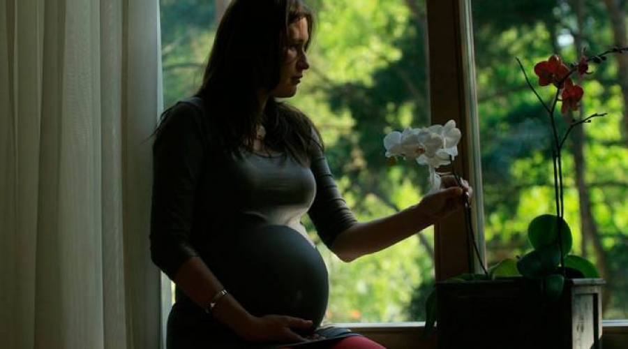 Instituciones católicas defienden la vida y rechazan proyecto del aborto en Bolivia