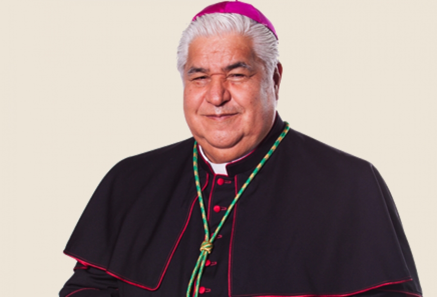 Los obispos mexicanos presentan la ‘Laudato Si&#039; en el Senado