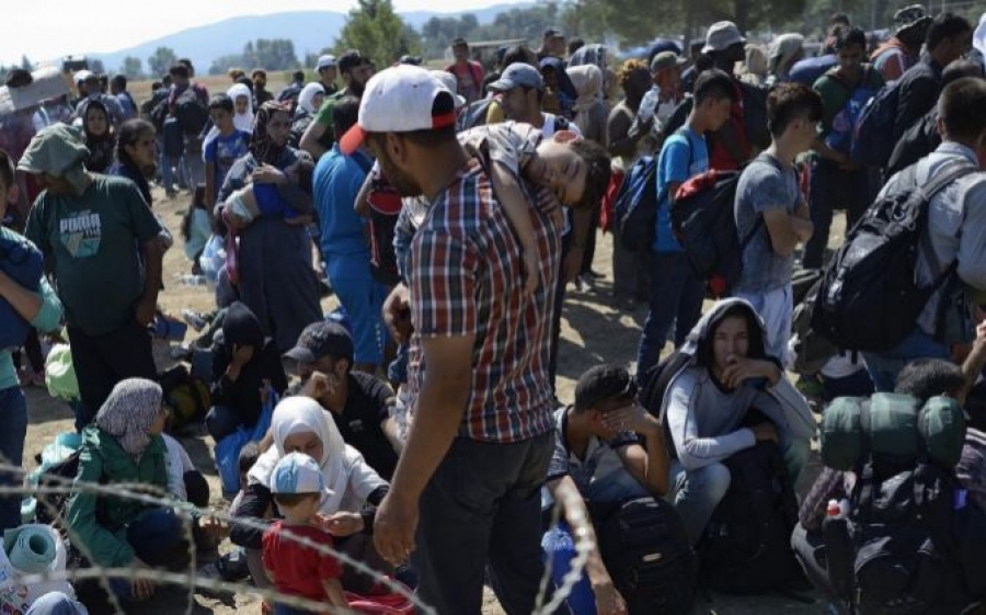 La Iglesia alemana: «El cuidado de los refugiados es parte de nuestra identidad cristiana»