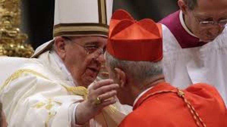 Cardenal Poli: “El gran mensaje del Papa es pensar en la fraternidad de la familia humana”