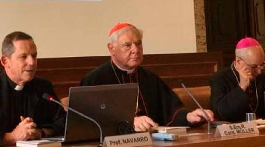 Cardenal Müller: el Papa no es el mesías sino el Vicario de Cristo