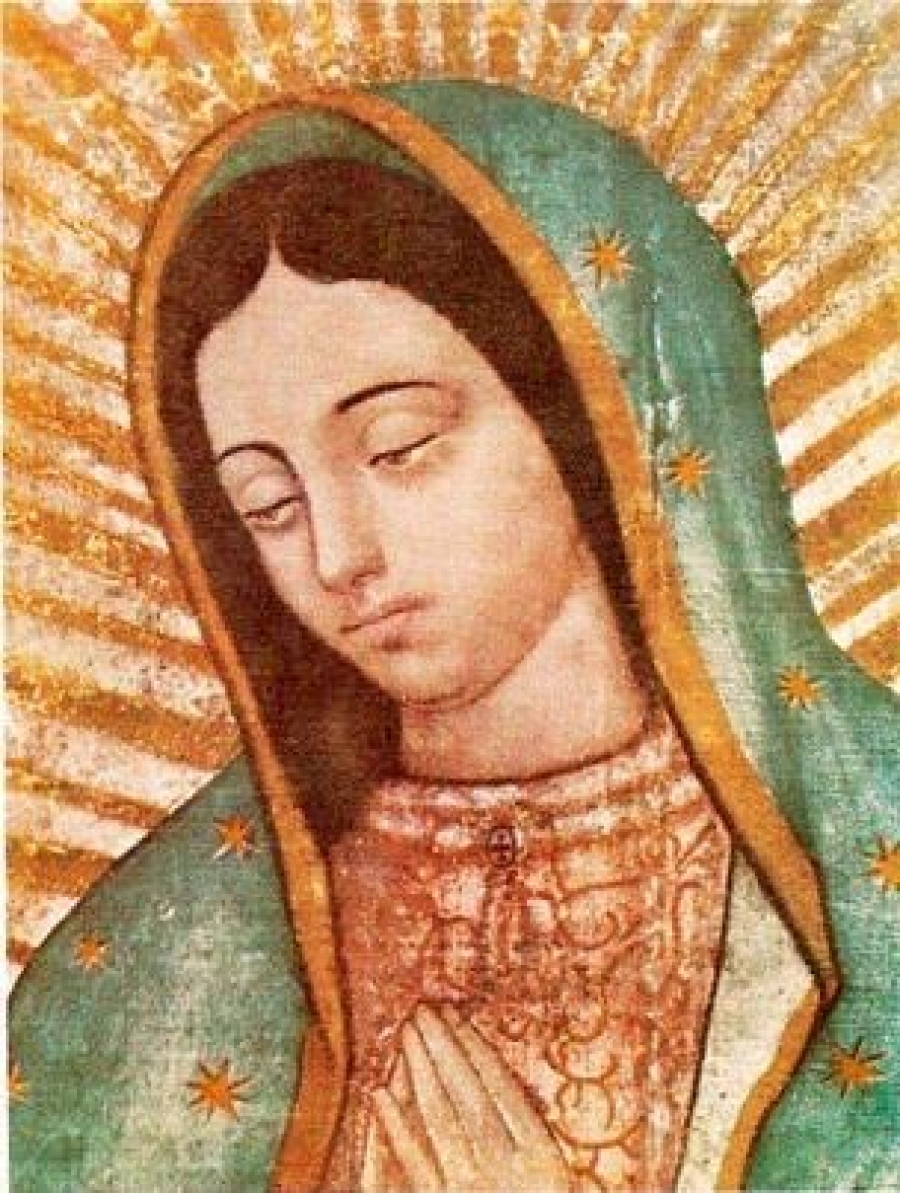 Santa María de Guadalupe, Patrona de América, ruega por nosotros