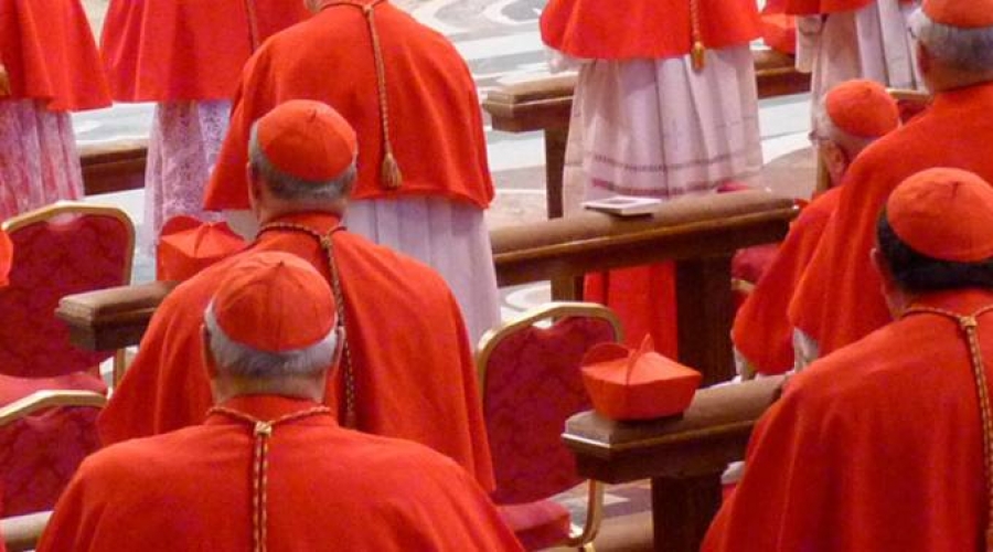 Cardenales piden audiencia al Papa Francisco para tratar «dubbia» de Amoris Laetitia