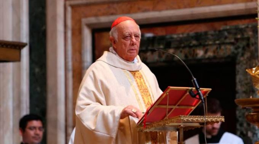 Cardenal propone 3 claves para luchar contra el cáncer de la violencia en México
