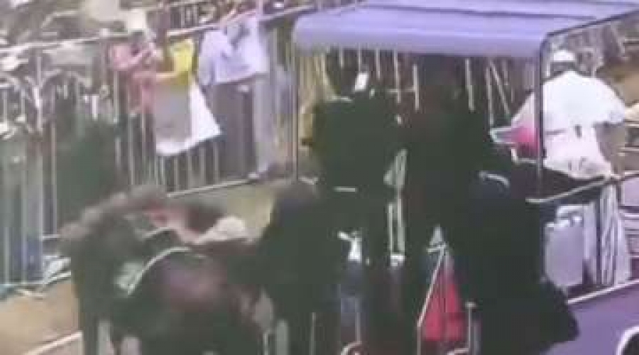 Mujer policía cae de caballo y el Papa detiene el papamóvil para asistirla