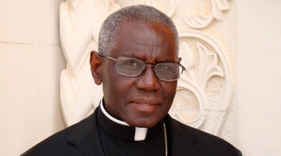 Cardenal Robert Sarah: Busquemos siempre la devoción a María