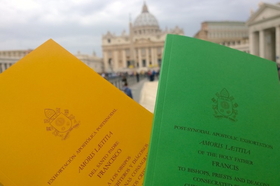 &#039;Amoris Laetitia&#039;: Pautas doctrinales para un discernimiento pastoral
