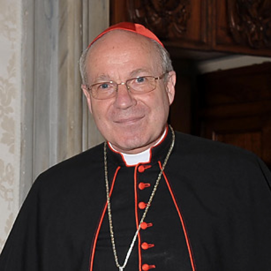 Cardenal Schönborn sobre &#039;Amoris Laetitia&#039;: «El Papa es un buen pastor, sabe de lo que habla»