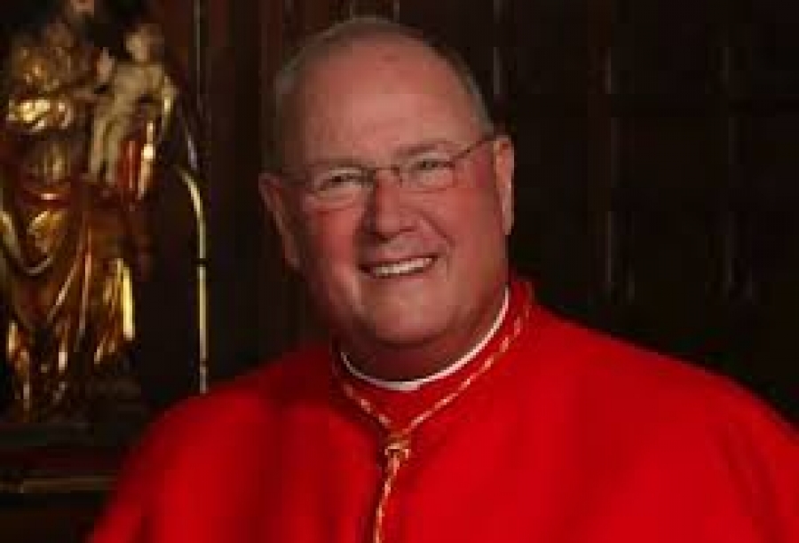 Cardenal Dolan: Unámonos en defensa de la vida construyendo nuevas alianzas