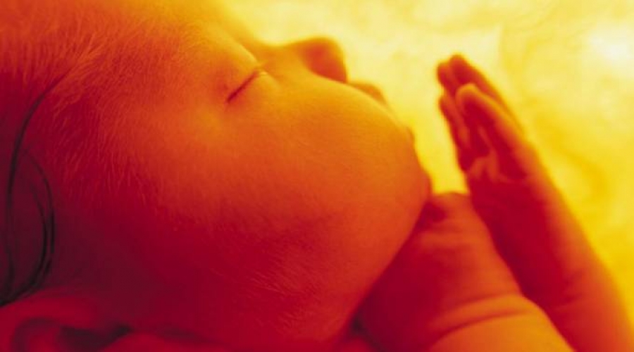 Obispos de Bolivia firmes en la lucha provida ante nuevo avance de ley del aborto