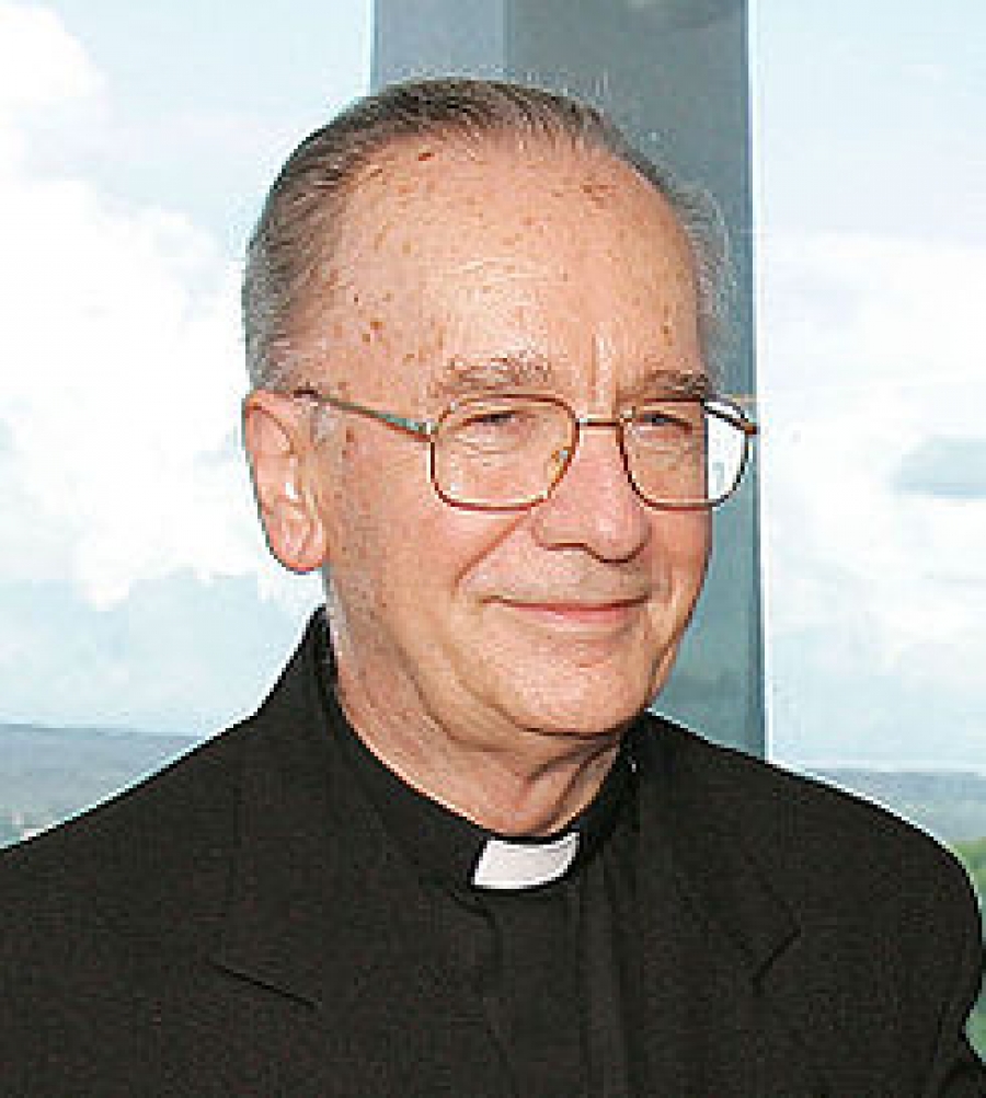 El cardenal Hummes destaca el compromiso de la Iglesia en la región amazónica