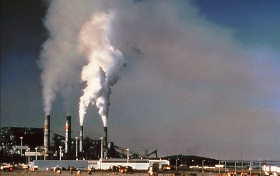 El Santo Padre en la Jornada Mundial del Ambiente recuerda que éste es un bien de todos