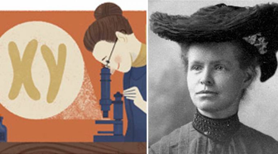 Google dedica Doodle a científica que descubrió por qué se nace hombre o mujer