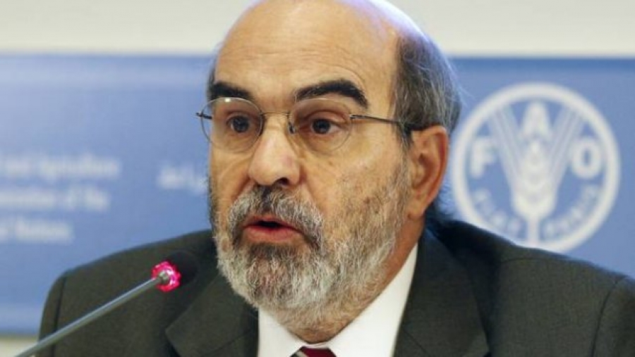 Mensaje del Papa a la FAO por la Jornada Mundial de la Alimentación